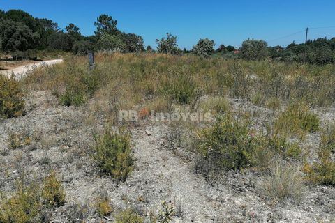 Helårsgrund i Tomar, Santarem, Tomar - € 70.000 | Ref: 01584-25 - foto 1