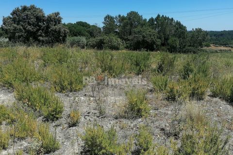 Helårsgrund i Tomar, Santarem, Tomar - € 70.000 | Ref: 01584-25 - foto 3