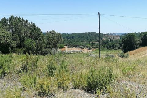 Helårsgrund i Tomar, Santarem, Tomar - € 70.000 | Ref: 01584-25 - foto 7