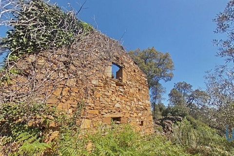 Byhus i Gois, Coimbra, Gois - € 37.000 | Ref: 93590 - foto 2