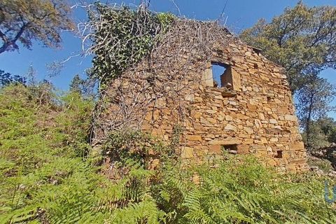Byhus i Gois, Coimbra, Gois - € 37.000 | Ref: 93590 - foto 10