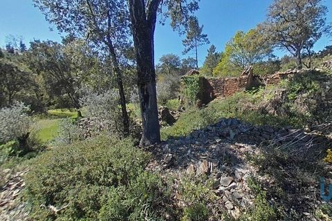 Byhus i Gois, Coimbra, Gois - € 37.000 | Ref: 93590 - foto 13