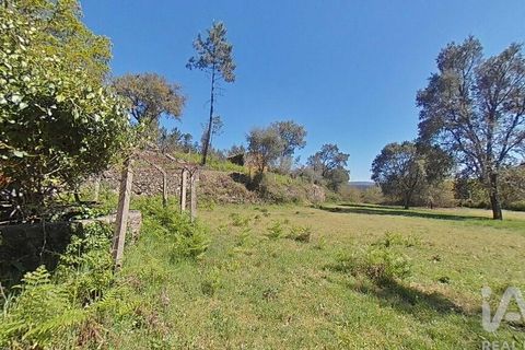 Byhus i Gois, Coimbra, Gois - € 37.000 | Ref: 93590 - foto 17
