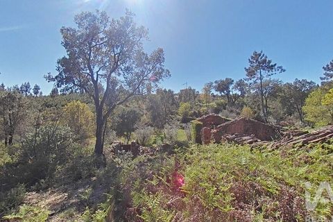 Byhus i Gois, Coimbra, Gois - € 37.000 | Ref: 93590 - foto 20