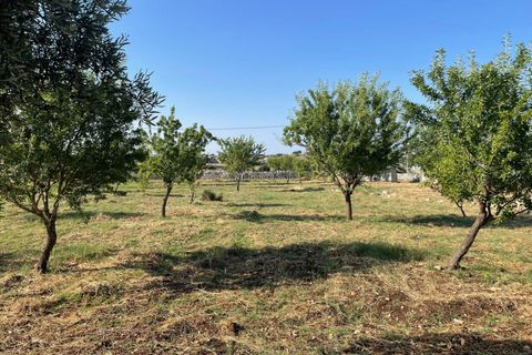 Villa i Modica, Ragusa, Modica - € 250.000 | Ref: V 155 - foto 20