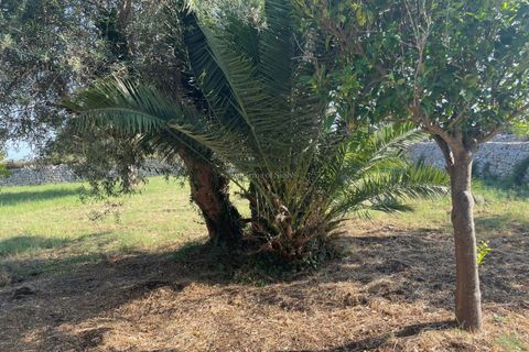 Villa i Modica, Ragusa, Modica - € 250.000 | Ref: V 155 - foto 23