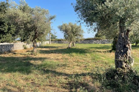 Villa i Modica, Ragusa, Modica - € 250.000 | Ref: V 155 - foto 48