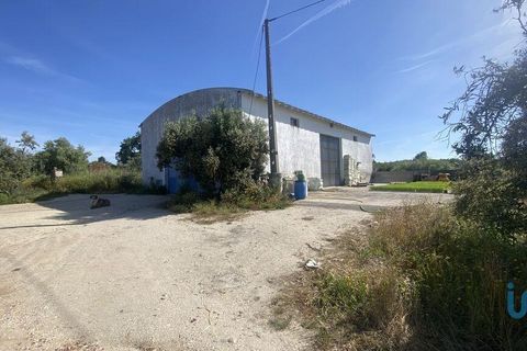 Terra a Abrantes, Santarem, Abrantes - € 735.000 | Ref: 143420 - foto 2