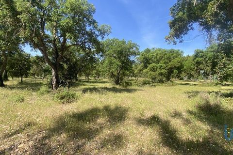 Terra a Abrantes, Santarem, Abrantes - € 735.000 | Ref: 143420 - foto 3