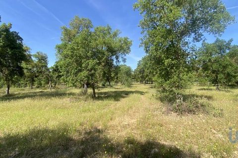 Terra a Abrantes, Santarem, Abrantes - € 735.000 | Ref: 143420 - foto 4