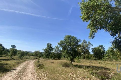 Terra a Abrantes, Santarem, Abrantes - € 735.000 | Ref: 143420 - foto 5