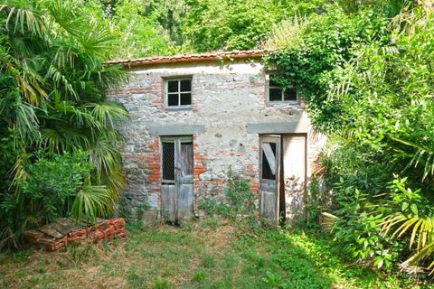 Villa i Fivizzano, Massa and Carrara, Fivizzano - € 380.000 | Ref: 054L-515593 - foto 7