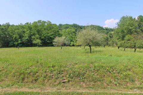 Villa i Fivizzano, Massa and Carrara, Fivizzano - € 220.000 | Ref: 315A-515678 - foto 31