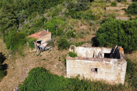 Villa i Monte Argentario, Grosseto, Monte Argentario - € 570.000 | Ref: IlCasalino-516031 - foto 3