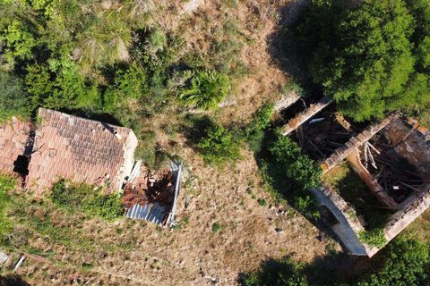 Villa i Monte Argentario, Grosseto, Monte Argentario - € 570.000 | Ref: IlCasalino-516031 - foto 4