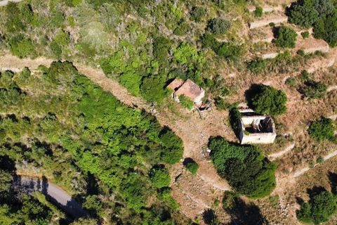 Villa i Monte Argentario, Grosseto, Monte Argentario - € 570.000 | Ref: IlCasalino-516031 - foto 6