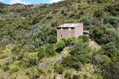 Villa i Monte Argentario, Grosseto, Monte Argentario - € 2.500.000 | Ref: BorgoArgentario-516040 - foto 16