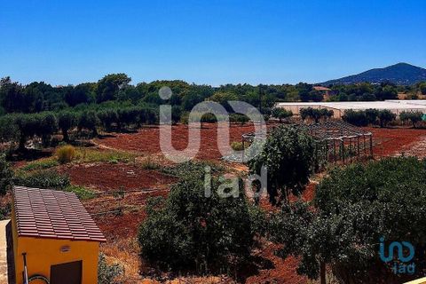 Byhus i Faro, Faro, Faro - € 650.000 | Ref: 121494 - foto 4