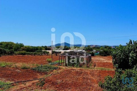 Byhus i Faro, Faro, Faro - € 650.000 | Ref: 121494 - foto 5