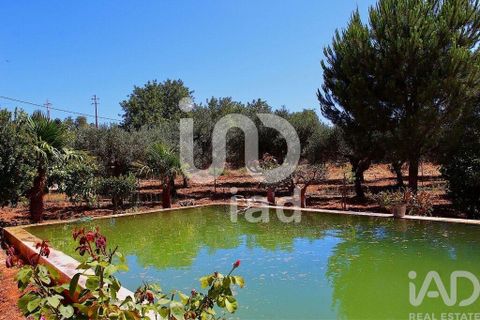 Byhus i Faro, Faro, Faro - € 650.000 | Ref: 121494 - foto 28