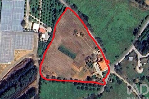 Byhus i Faro, Faro, Faro - € 650.000 | Ref: 121494 - foto 30