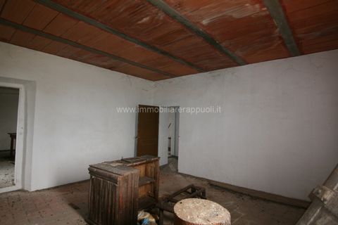 Herregård i Sinalunga, Siena, Sinalunga - € 200 000 | Ref: CL159 - foto 21