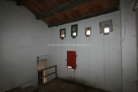 Herregård i Sinalunga, Siena, Sinalunga - € 200 000 | Ref: CL159 - foto 29
