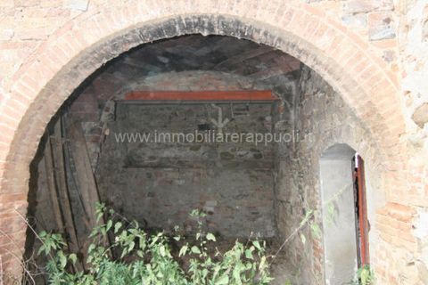 Herregård i Sinalunga, Siena, Sinalunga - € 200 000 | Ref: CL159 - foto 33