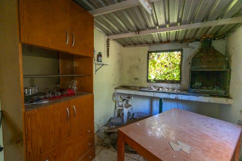 Finca i La Senia, Tarragona, La Senia - € 16.000 | Ref: 230 - foto 6