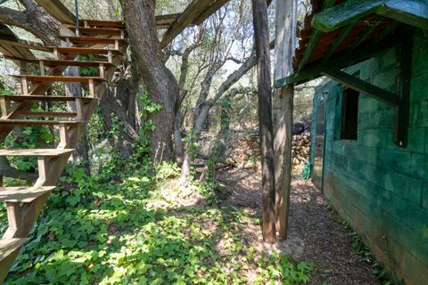 Finca i La Senia, Tarragona, La Senia - € 16.000 | Ref: 230 - foto 2