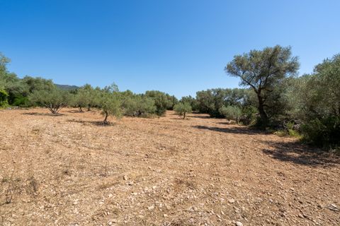 Finca i La Senia, Tarragona, La Senia - € 16.000 | Ref: 230 - foto 14