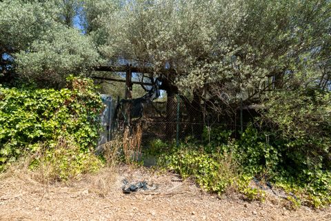 Finca i La Senia, Tarragona, La Senia - € 16.000 | Ref: 230 - foto 15