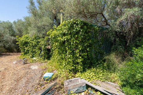Finca i La Senia, Tarragona, La Senia - € 16.000 | Ref: 230 - foto 17