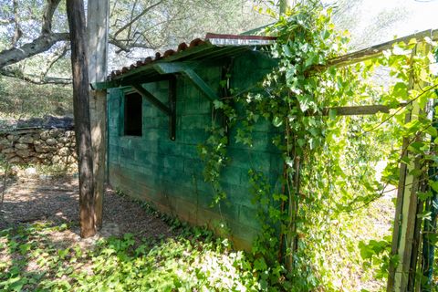 Finca i La Senia, Tarragona, La Senia - € 16.000 | Ref: 230 - foto 3