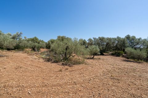 Finca i La Senia, Tarragona, La Senia - € 16.000 | Ref: 230 - foto 12