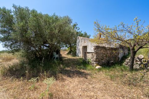 Finca i La Senia, Tarragona, La Senia - € 27.500 | Ref: 231 - foto 13