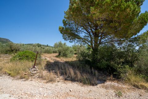 Finca i La Senia, Tarragona, La Senia - € 27.500 | Ref: 231 - foto 23