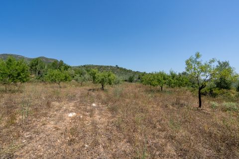 Finca i La Senia, Tarragona, La Senia - € 27.500 | Ref: 231 - foto 21