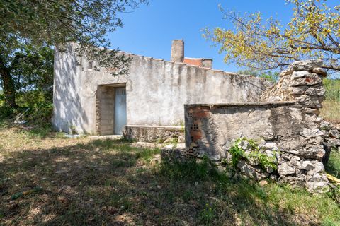 Finca i La Senia, Tarragona, La Senia - € 27.500 | Ref: 231 - foto 2