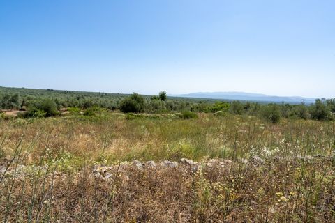 Finca i La Senia, Tarragona, La Senia - € 27.500 | Ref: 231 - foto 20