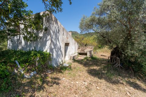 Finca i La Senia, Tarragona, La Senia - € 27.500 | Ref: 231 - foto 3