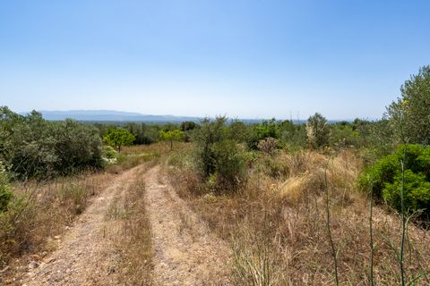 Finca i La Senia, Tarragona, La Senia - € 27.500 | Ref: 231 - foto 15
