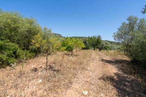 Finca i La Senia, Tarragona, La Senia - € 27.500 | Ref: 231 - foto 19