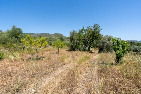 Finca i La Senia, Tarragona, La Senia - € 27.500 | Ref: 231 - foto 17