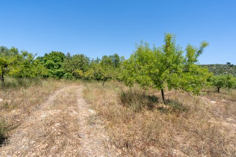 Finca i La Senia, Tarragona, La Senia - € 27.500 | Ref: 231 - foto 18