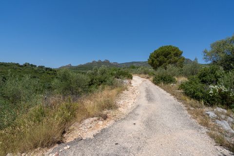 Finca i La Senia, Tarragona, La Senia - € 27.500 | Ref: 231 - foto 22