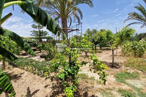 Villa i Elche, Alicante, Elche - € 450.000 | Ref: 5305 - foto 14