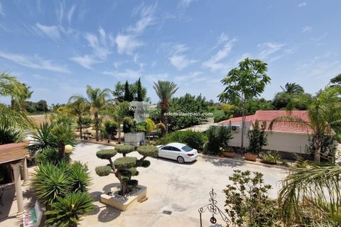 Villa i Elche, Alicante, Elche - € 450.000 | Ref: 5305 - foto 49