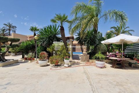 Villa i Elche, Alicante, Elche - € 450.000 | Ref: 5305 - foto 18