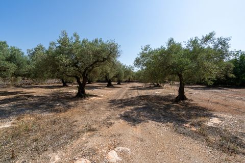 Finca a Ulldecona, Tarragona, Ulldecona - € 34.000 | Ref: 233 - foto 13